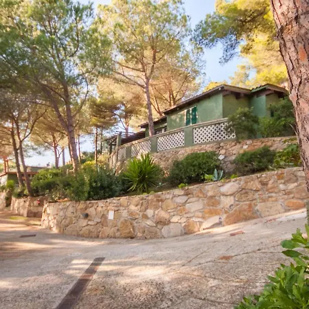 Piccola Oasi 5 By Interhome Holiday home *