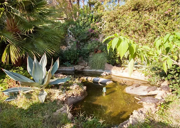 Piccola Oasi 5 By Interhome