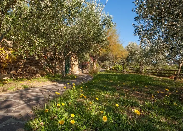 Piccola Oasi 5 By Interhome Capoliveri